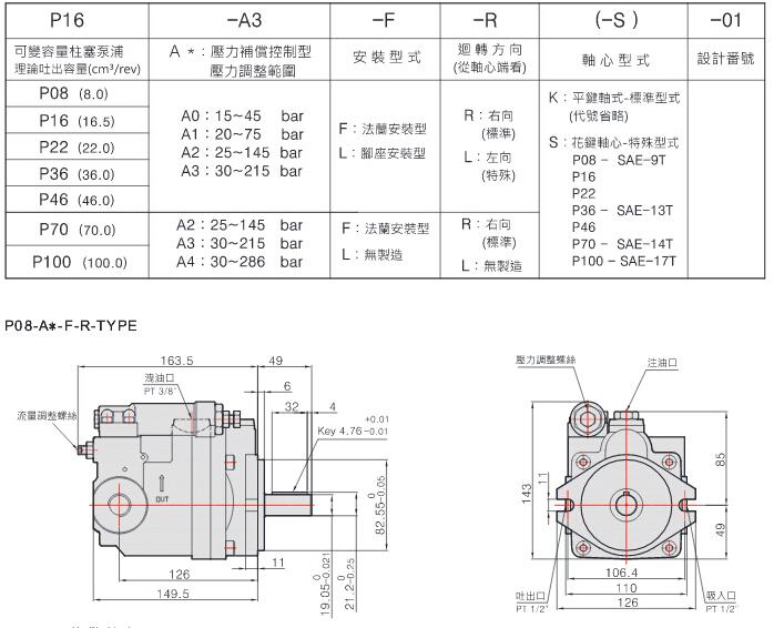 p08 piston pump order code